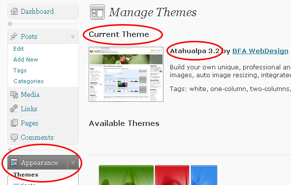 screenshot of wordpress manage themes menu