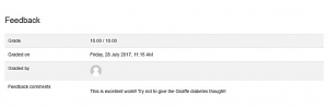 Screenshot of Feedback section on Moodle Assignment page